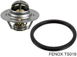 FENOX Термостат TS019 OE:2550022600 EAN:4041042805181
