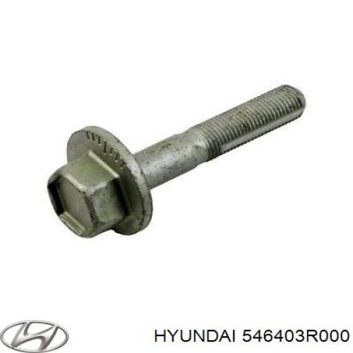 Hyundai/Kia Болт развальный подвески задней для 2WD I40 Sportage ix35 Tucson 546403R000